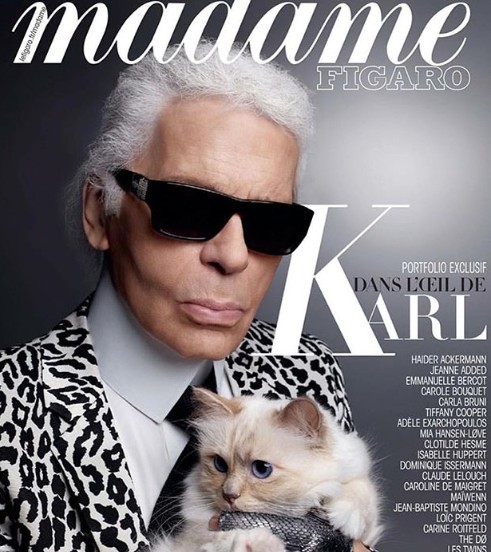 【可能系世界上最有钱嘅猫】时装界老佛爷karl lagerfeld爱猫或继承15