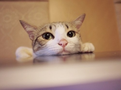 1349586947-3893141285