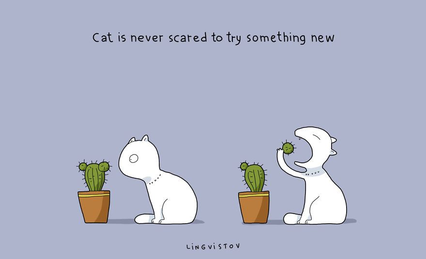 21-Benefits-of-Having-a-Cat-Book21__880