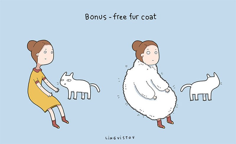 Fur