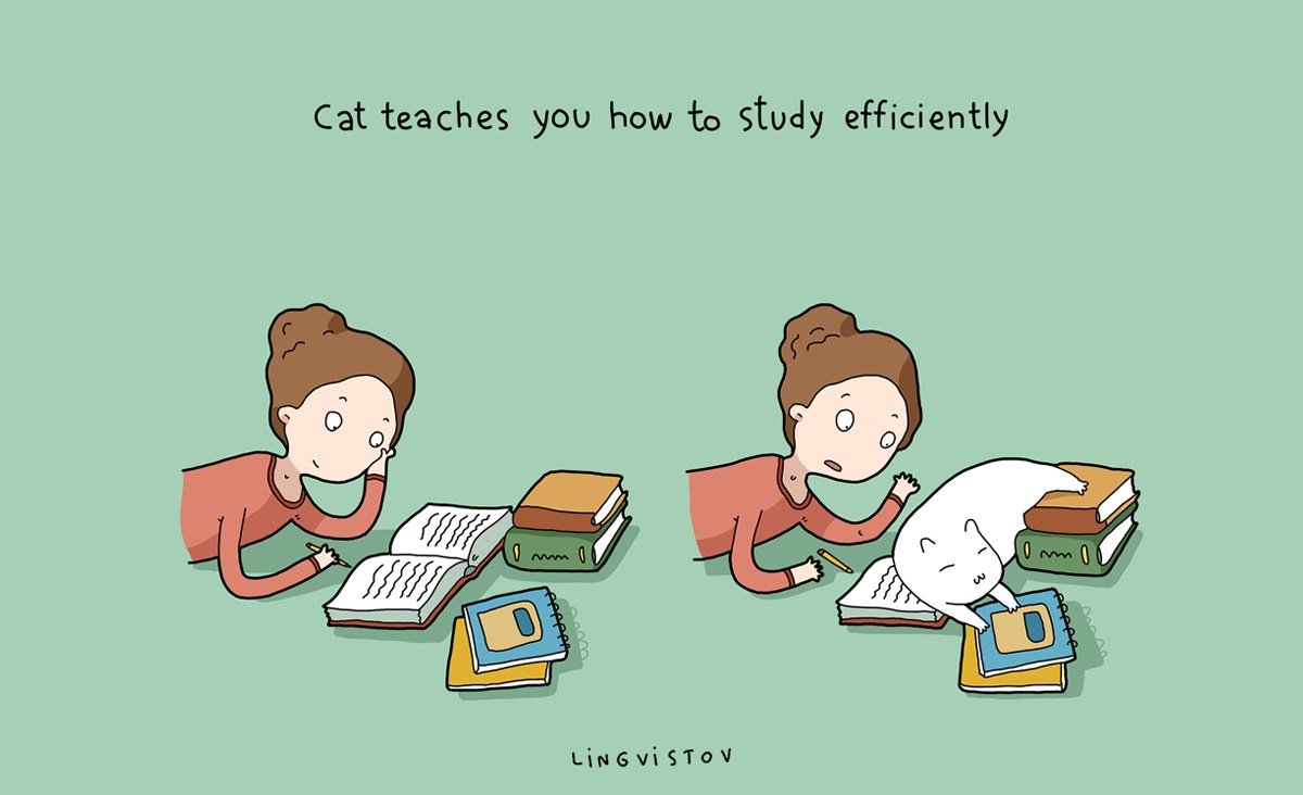 benefits-cats-004