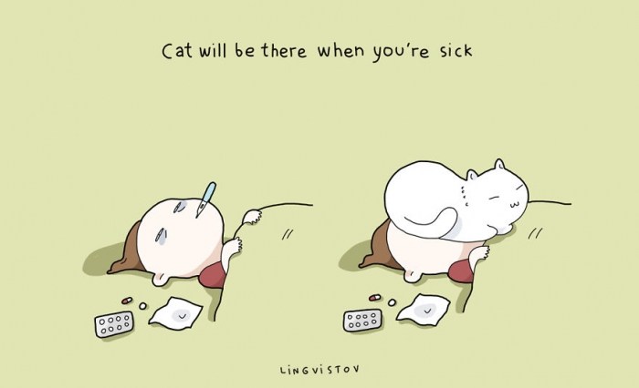 benefits-of-having-a-cat-1