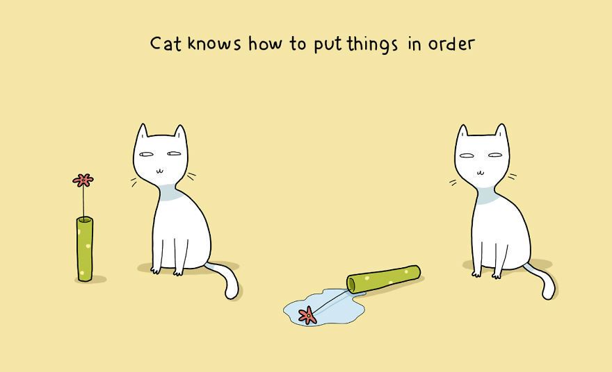 cats-benefits13