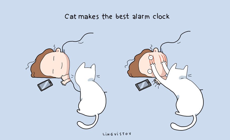 funny-illustrations-pets-benefits-of-having-a-cat-lingvistov-21