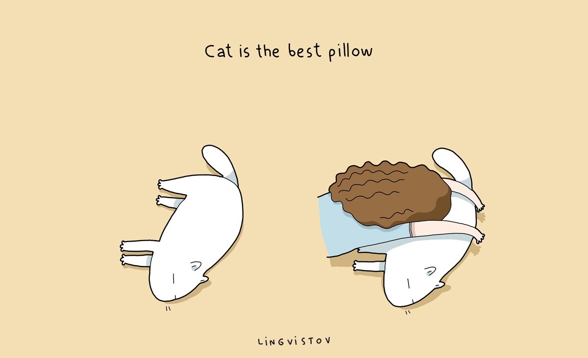lingvistov-21-benefits-of-having-a-cat-illustration-pillow
