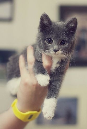 9b7b99ff63be31bba8f9863724b3ebbc