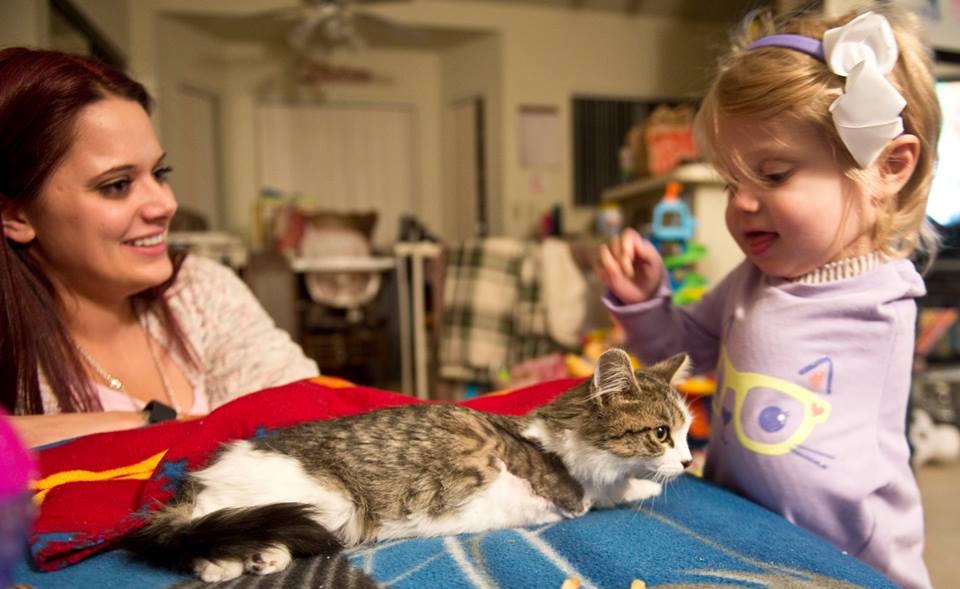 smilesforscarlette https://www.facebook.com/smilesforscarlette/photos_stream?ref=page_internal