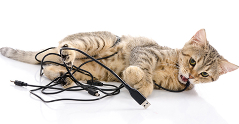 pethealthnetwork http://www.pethealthnetwork.com/cat-health/cat-behavior/why-does-my-cat-chew-electrical-cords