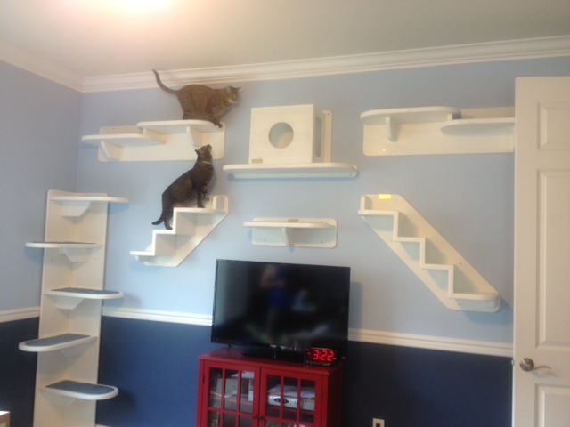 catsplay http://www.catsplay.com/blog/a-tale-of-two-kitties-and-their-cat-wall-system