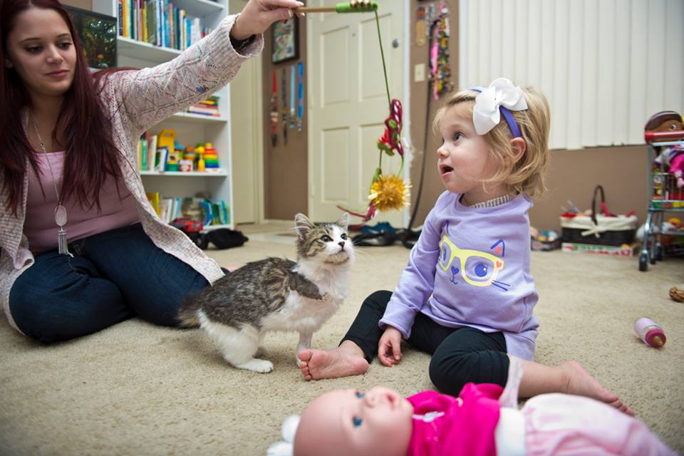 smilesforscarlette https://www.facebook.com/smilesforscarlette/photos_stream?ref=page_internal