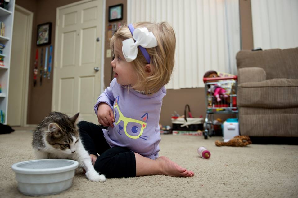 smilesforscarlette https://www.facebook.com/smilesforscarlette/photos_stream?ref=page_internal