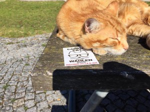 campuscat