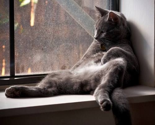 mancat