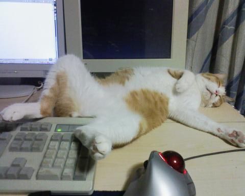 mancat