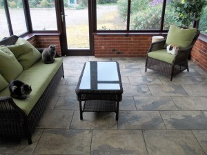 Lincolnshire Trust for Cats-2