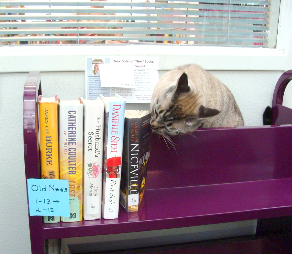 librarycat