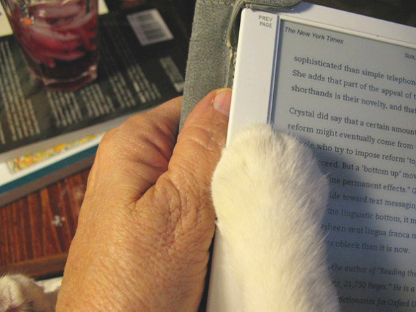 readingcat