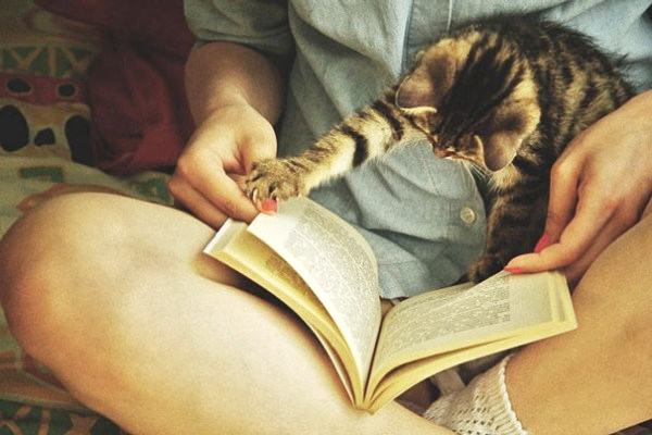 readingcat