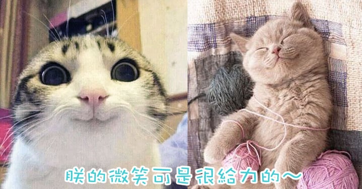 笑一笑~世界更美妙!8位喵星人也來和應世界微笑日!