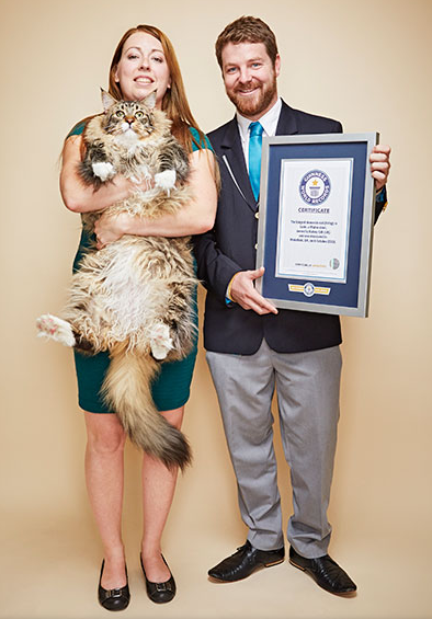 guinnessworldrecords