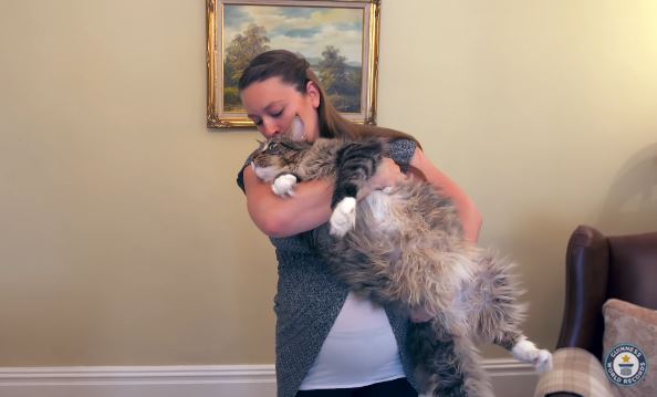 guinnessworldrecords