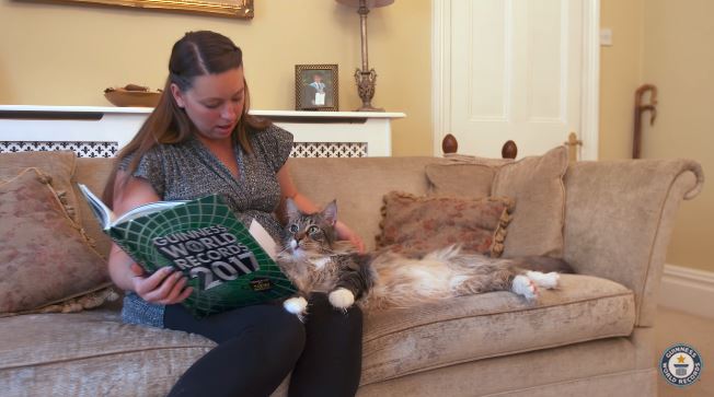 guinnessworldrecords