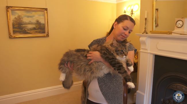 guinnessworldrecords