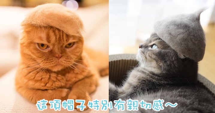 朕的帽子百分百是自家品牌～日本貓奴用主子的毛造出可愛的帽子！