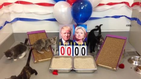 Found Animals Foundation