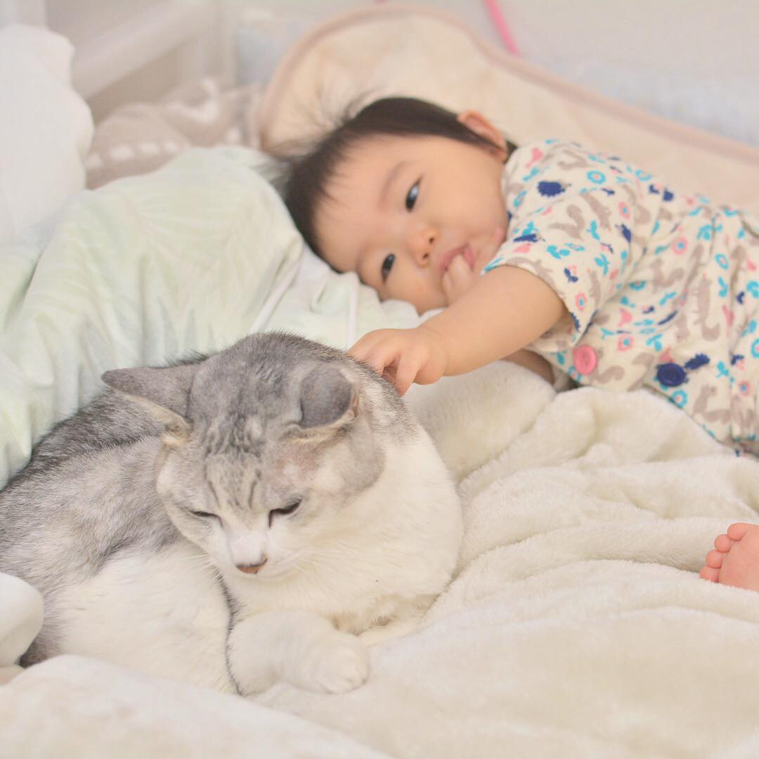 14566724_1277610608925802_4549191645815373824_n