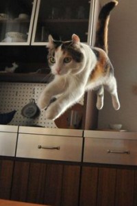 pinterest