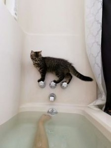 pinterest