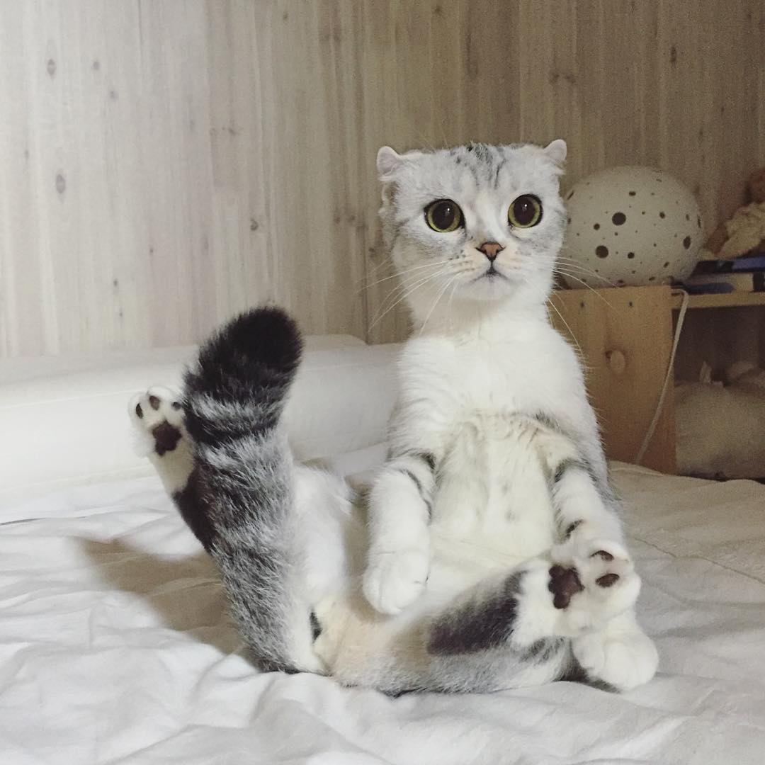 14073217_1673224316330576_89965656_n