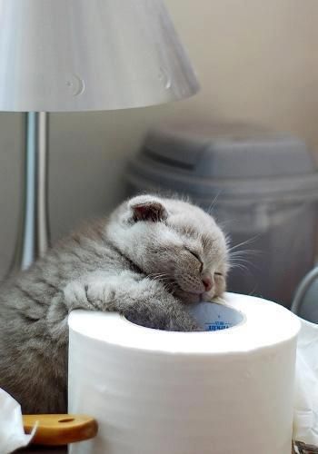 326f3d12698d2ca5f56d36db2d77877a