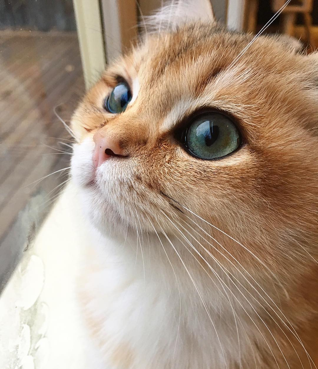 13561809_668639039955844_1880606868_n