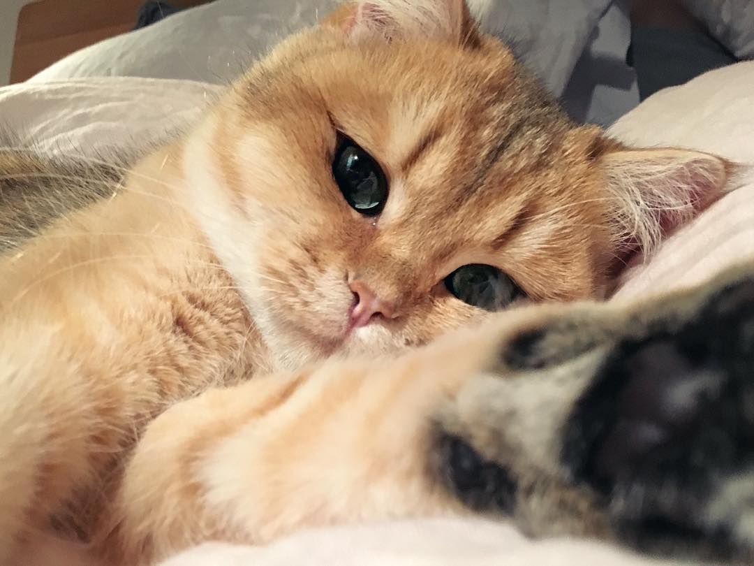 14607094_1477036002311126_2828631642573111296_n