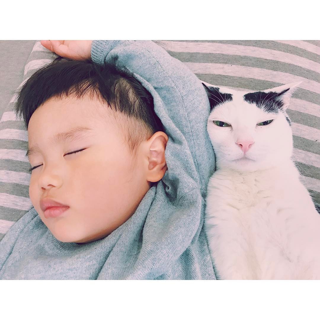 17661760_1870440209895488_7959184838894813184_n