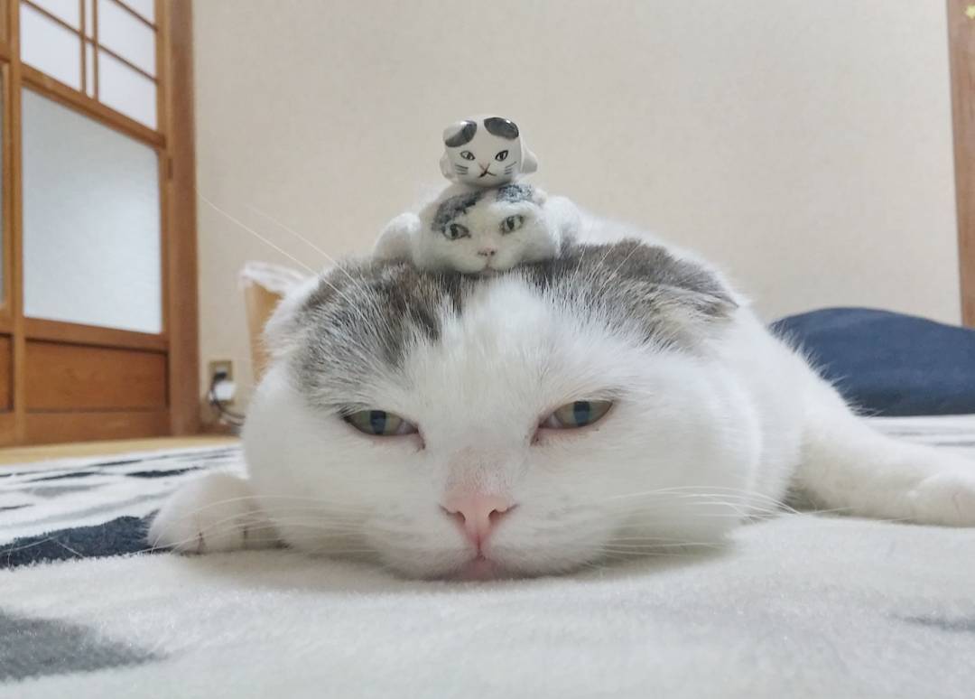 17932428_1405743676135172_6552099397482577920_n