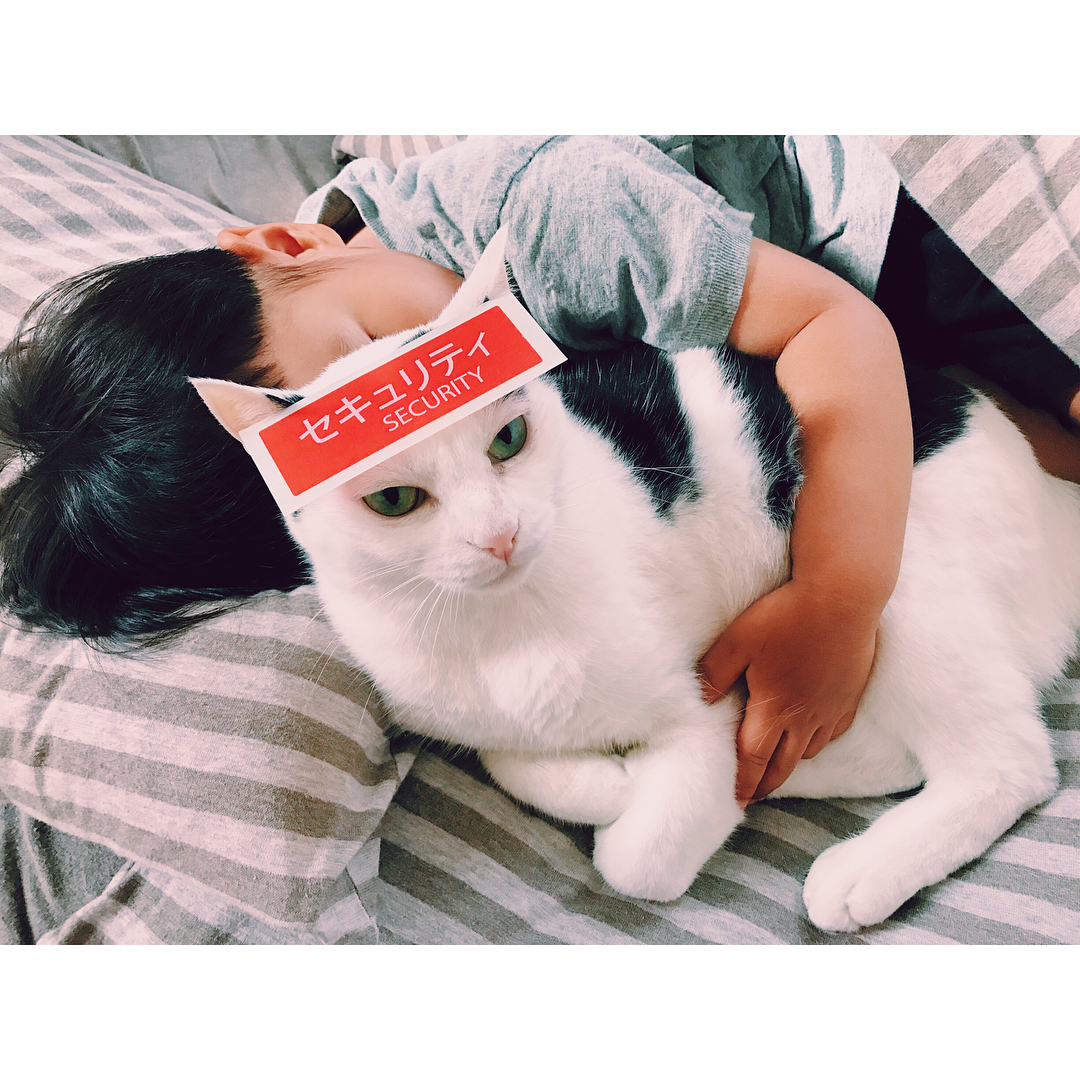 19623577_295280430938346_1151764921453641728_n