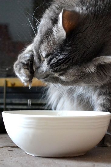 544882f86ff8eb2eb4d42905f08d0870