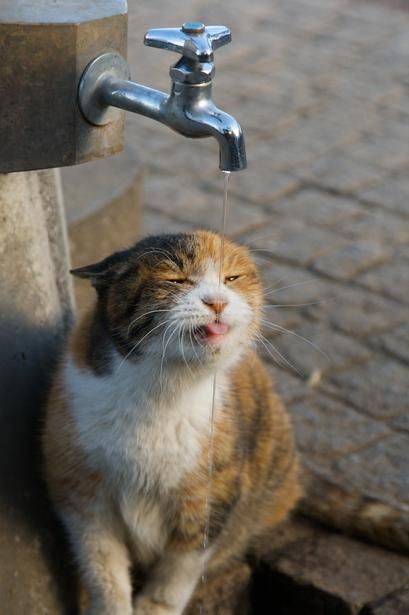 9243d2647b0559ca830039b202a80b32