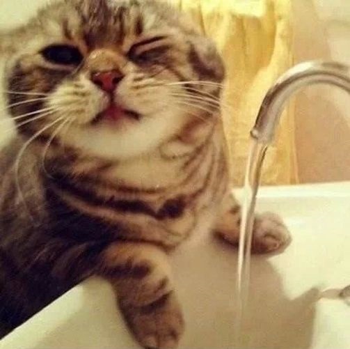 925d5ac74db0dcfabc238e1686e31d16