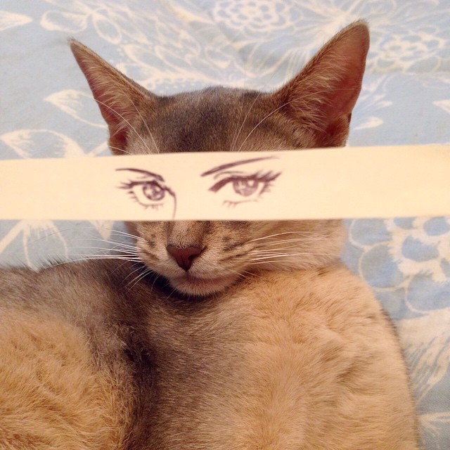 10831765_616017835188443_1151381719_n