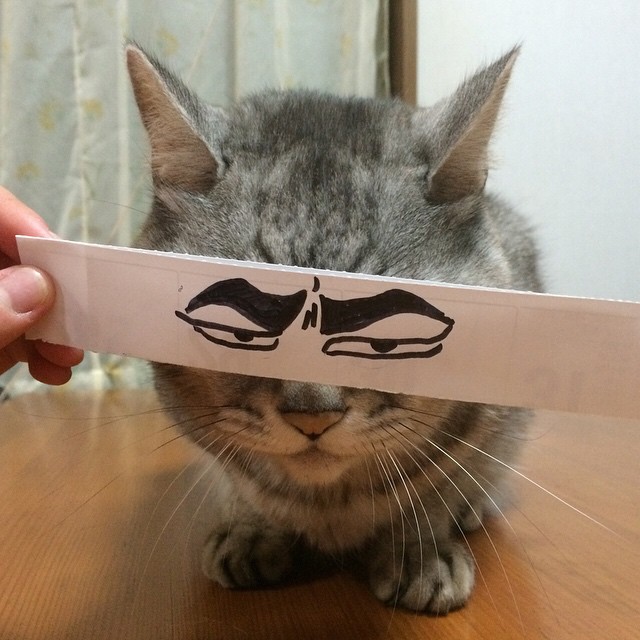 10899021_1473750262849876_428376824_n (1)