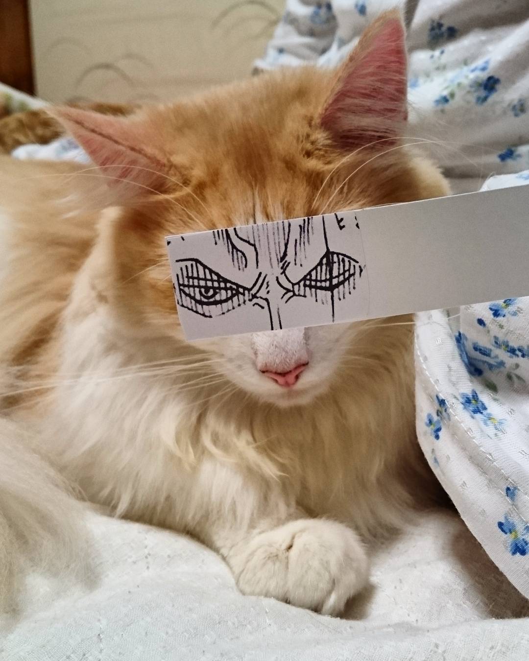 12930892_1324608040899787_53731199_n