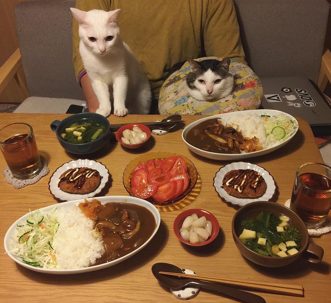 16229050_408913666113026_6219947629200015360_n