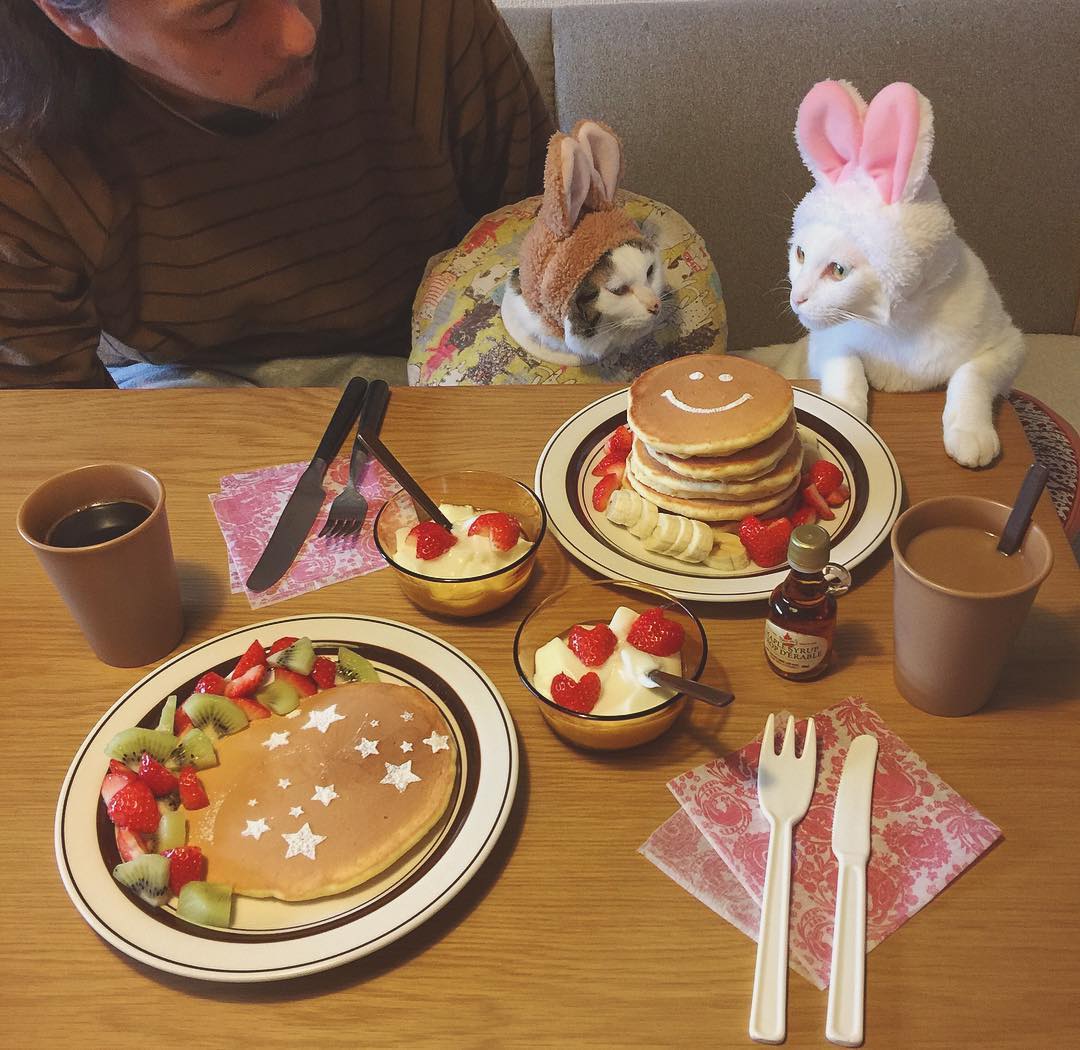 16585514_238915136517415_5235082040197513216_n