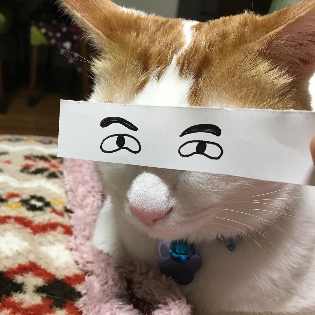 17126468_1285346548229079_5812132238107607040_n