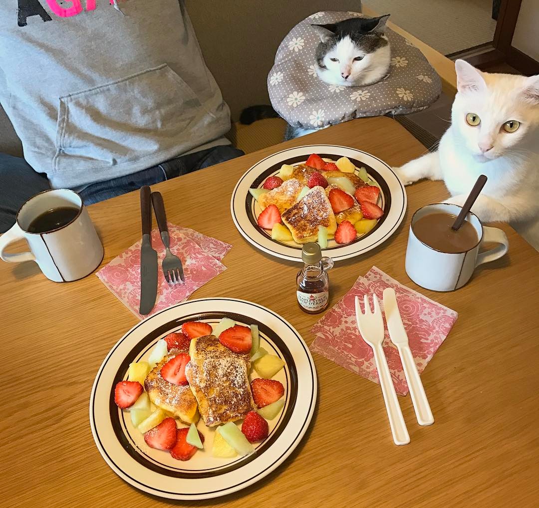 17661879_1325339414215860_6269833356515475456_n