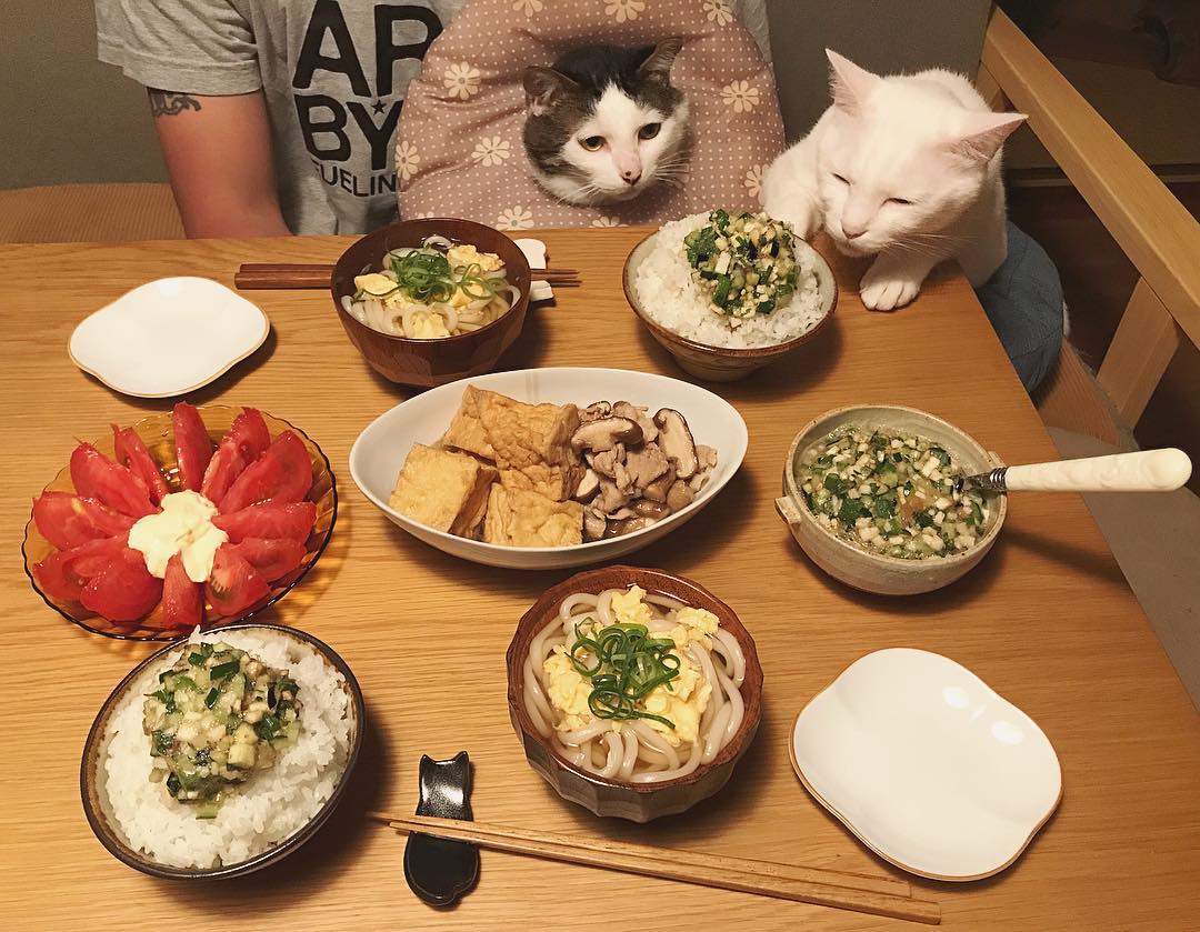 18581280_374685019593755_3583341260011732992_n